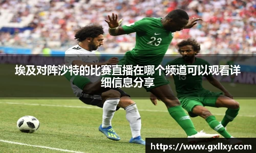 埃及对阵沙特的比赛直播在哪个频道可以观看详细信息分享